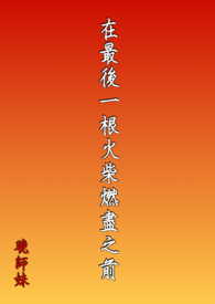 最后一根火柴课外阅读