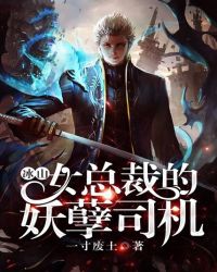 冰山女总裁的护身狂龙叶惊天全文