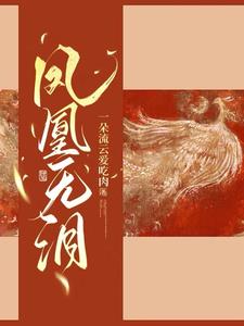 凤凰无泪电视剧观看