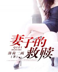 妻子的救赎陆祺