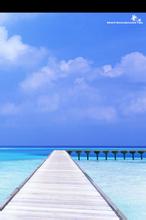 沉浮刘飞小说全文免费阅读