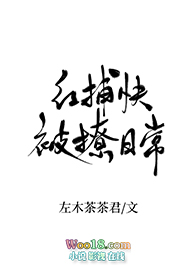 红捕快被撩日常下载