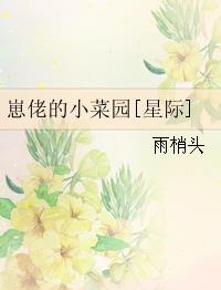 崽佬的小菜园星际txt