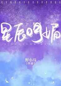 星辰明媚小说