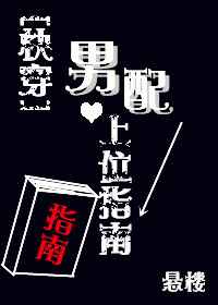 男配上位指南下载