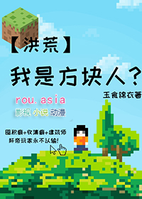 洪荒我是方块人txt下载