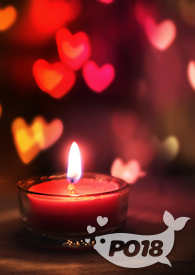 入局耳东兔子免费阅读