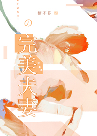 完美夫妻 作者：糖不停