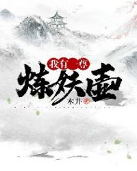 我有一尊炼妖壶木井顶点