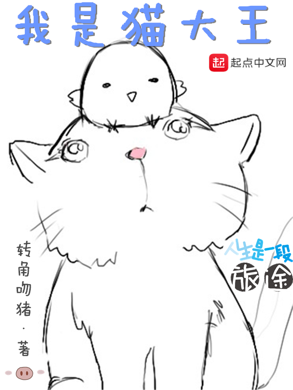 我是猫大王什么时候化形