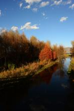 晨风细雨文集全文