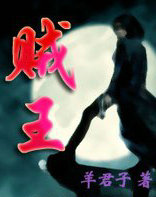 贼王1995国语高清未删减版137分钟迅雷下载