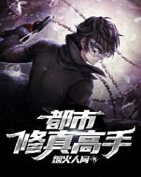 都市修真高手叶枫顶点