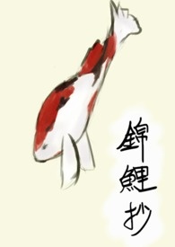 天涯明月刀贴吧锦鲤抄