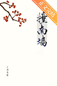 撞南墙是什么梗