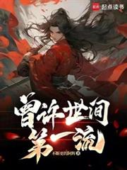 曾许世间第一流TXT下载