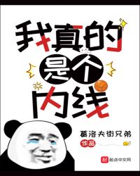 我真的是个内线txt小说免费下载