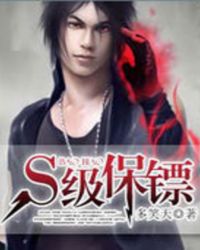 s级保镖小说