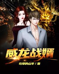 威龙战婿杨昊夏繁星 小说