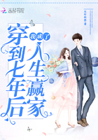 穿越到七年后