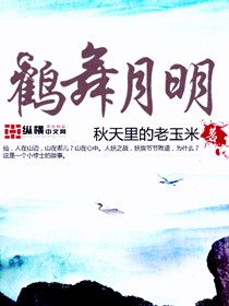 鹤舞月明类似的小说