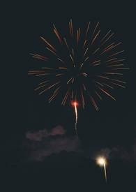 捡到一个小姜丝