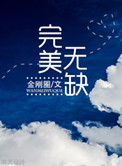 完美无缺小说免费阅读全文