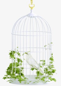 金丝雀值是什么