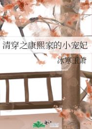 清穿之康熙家的小宠妃免费