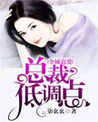 全城追爱,总裁低调点 小说