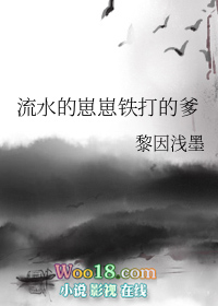 流水的崽崽铁打的爹105小说