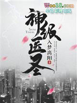 绝世医圣在都市