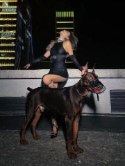 公主驸马被指婚