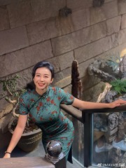 我在古代开公司