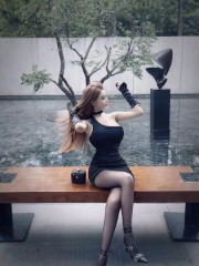 一根猫条多少钱